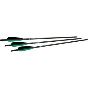 Barnett Arrows w-Field Point 20in5pk 16075